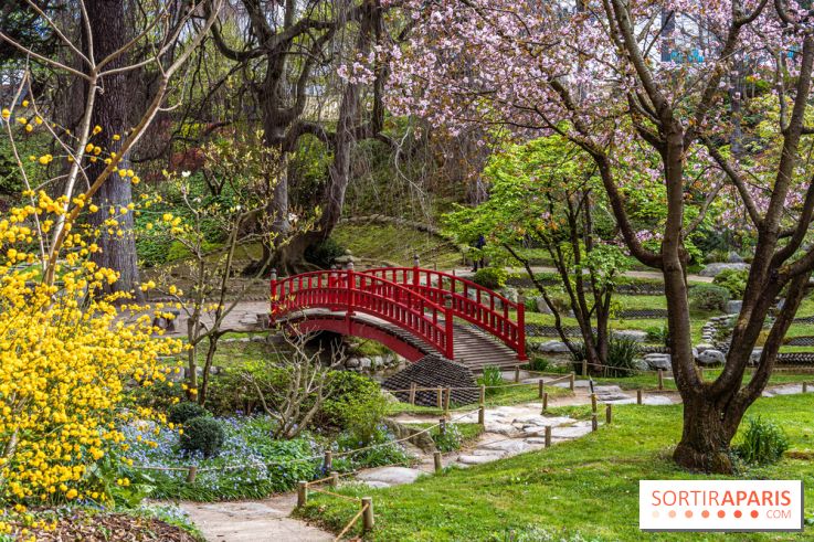 Les jardins du Musée Albert Kahn, nos photos