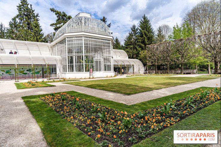 Les jardins du Musée Albert Kahn, nos photos