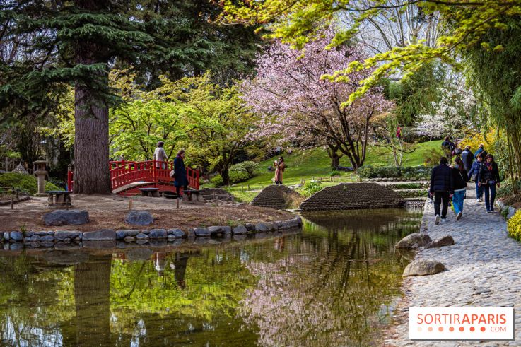Les jardins du Musée Albert Kahn, nos photos