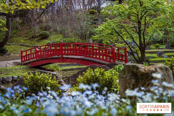 Les jardins du Musée Albert Kahn, nos photos