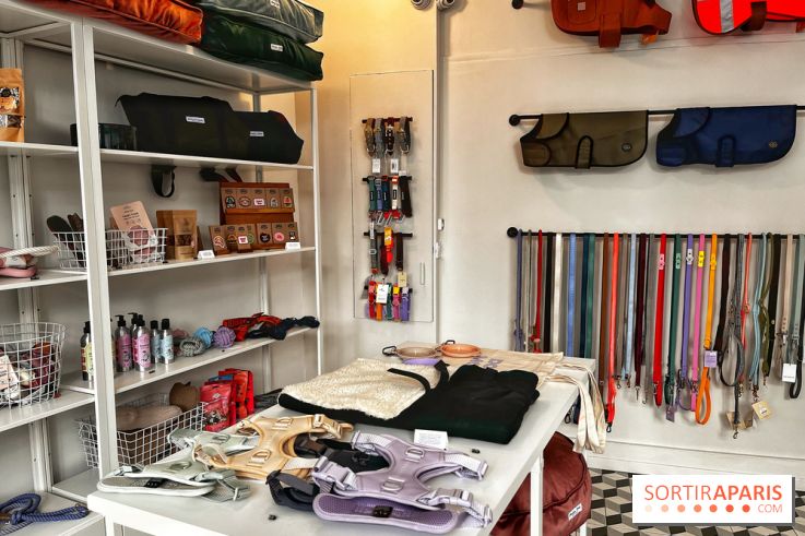 Barkers+Brothers, le concept store canin pour chouchouter son chien à Montmartre