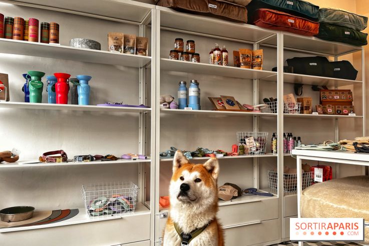 Barkers+Brothers, le concept store canin pour chouchouter son chien à Montmartre