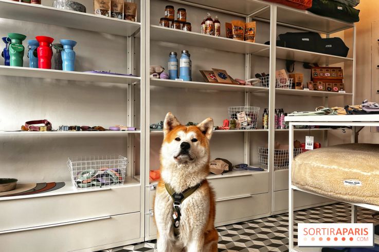 Barkers+Brothers, le concept store canin pour chouchouter son chien à Montmartre