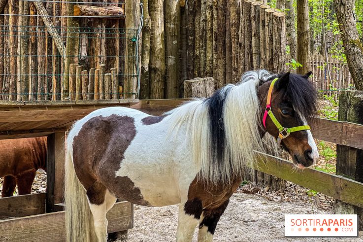 Aventure Floreval, l'accrobranche canon aux portes de Paris