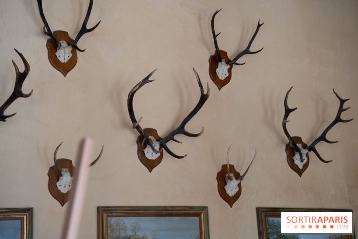 Photos : Château de Cheverny