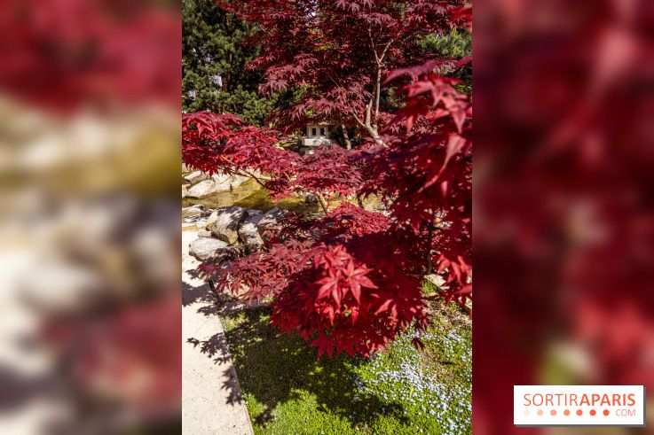 Le Jardin Japonais d'Ichikawa à Issy-les-Moulineaux