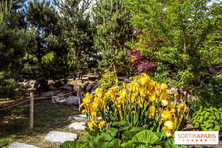 Le Jardin Japonais d'Ichikawa à Issy-les-Moulineaux