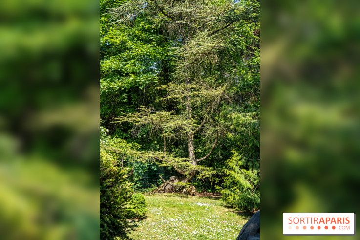 Le jardin japonais du Parc de Boulogne Edmond de Rothschild