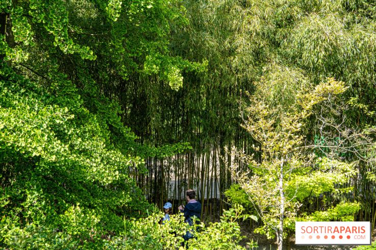 Le jardin japonais du Parc de Boulogne Edmond de Rothschild
