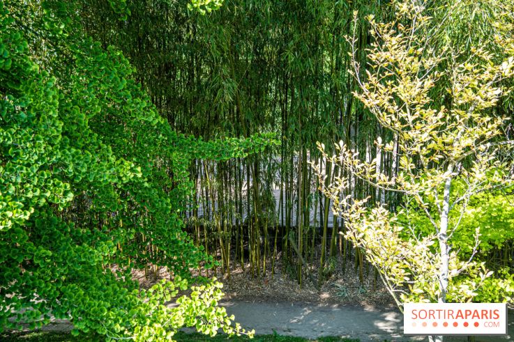 Le jardin japonais du Parc de Boulogne Edmond de Rothschild