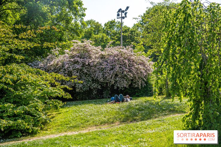 Le jardin japonais du Parc de Boulogne Edmond de Rothschild