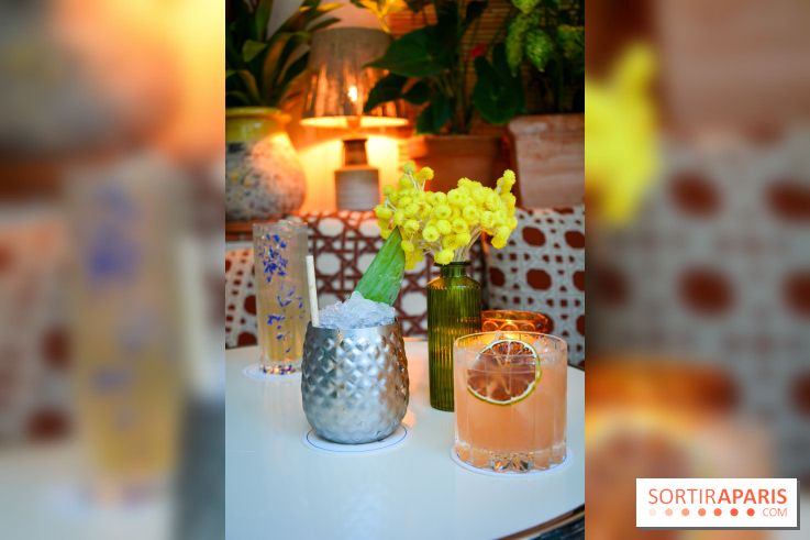 Le Petit Toit, le rooftop secret du restaurant Le Petit Victor Hugo