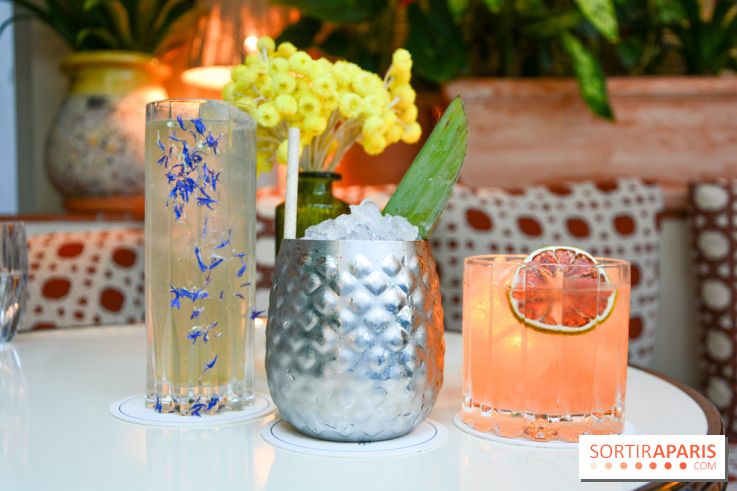 Le Petit Toit, le rooftop secret du restaurant Le Petit Victor Hugo