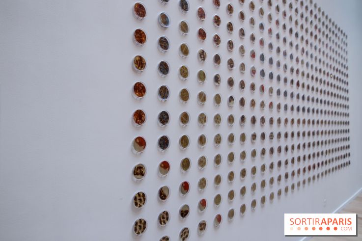 Exposition De l’Art de vivre au Centre Culturel Canadien, nos photos