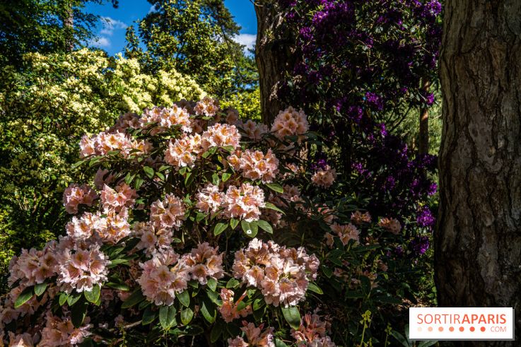 Le Parc Floral en photos 