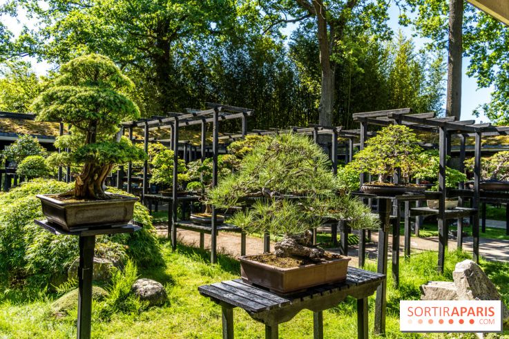 Le Parc Floral en photos 