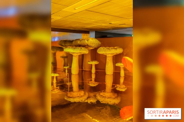 La Gaîté Lyrique présente Shiny Gold, une installation-expérience de Nelly Ben Hayoun - nos photos