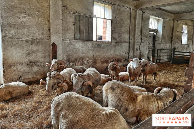 Le Château de Rambouillet et sa Bergerie nationale, un domaine d'exception en Ile-de-France