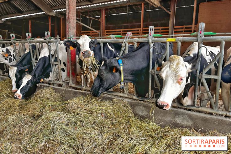 Le Château de Rambouillet et sa Bergerie nationale, un domaine d'exception en Ile-de-France