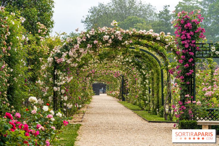 Photos : La Roseraie du val-de-Marne