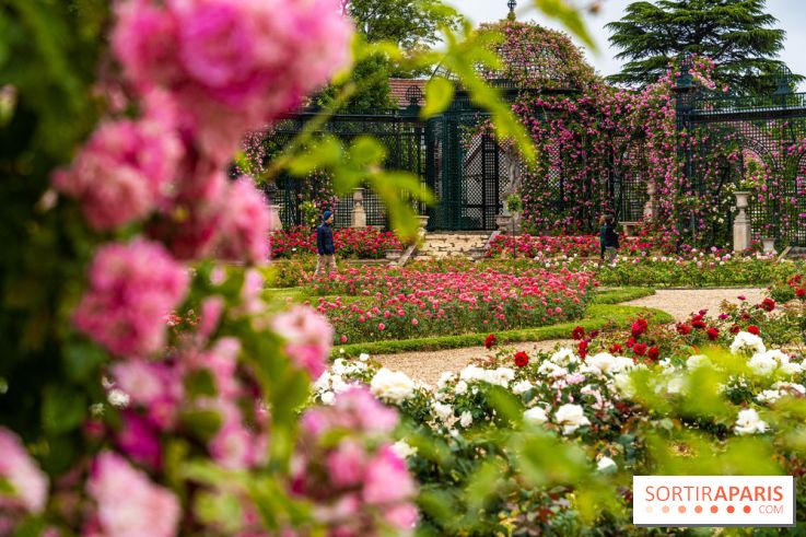 Photos : La Roseraie du val-de-Marne