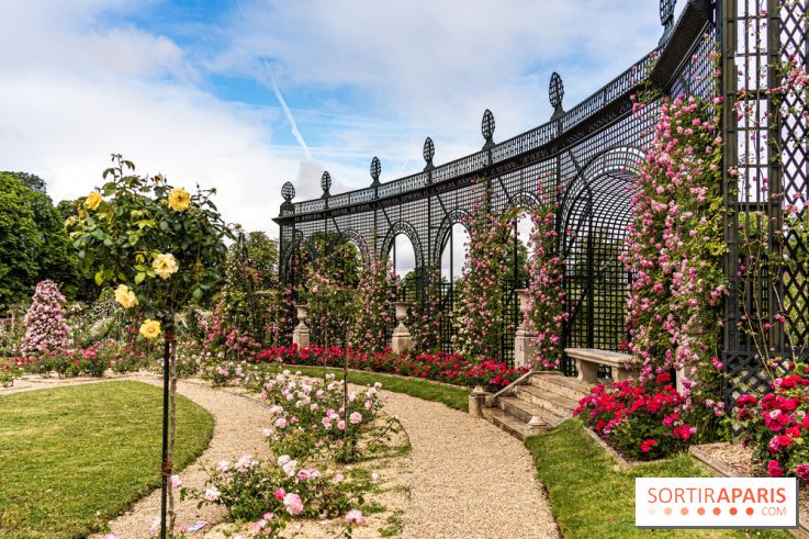 Photos : La Roseraie du val-de-Marne