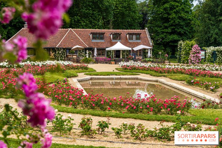 Photos : La Roseraie du val-de-Marne