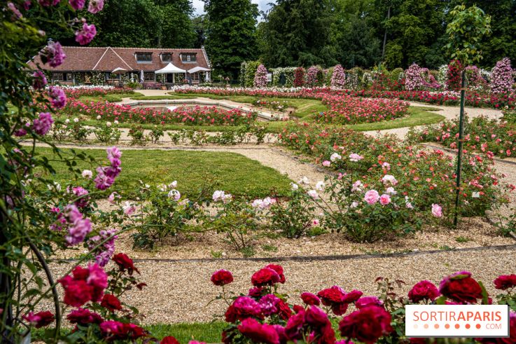 Photos : La Roseraie du val-de-Marne