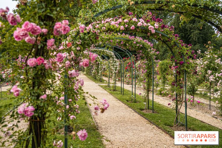 Photos : La Roseraie du val-de-Marne