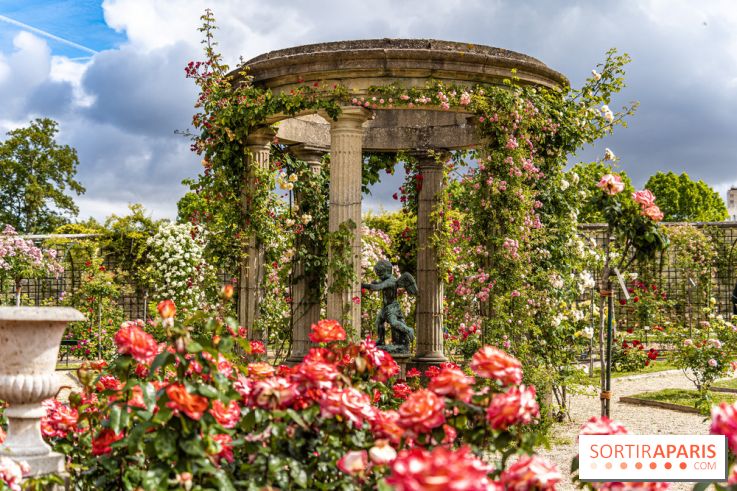 Photos : La Roseraie du val-de-Marne