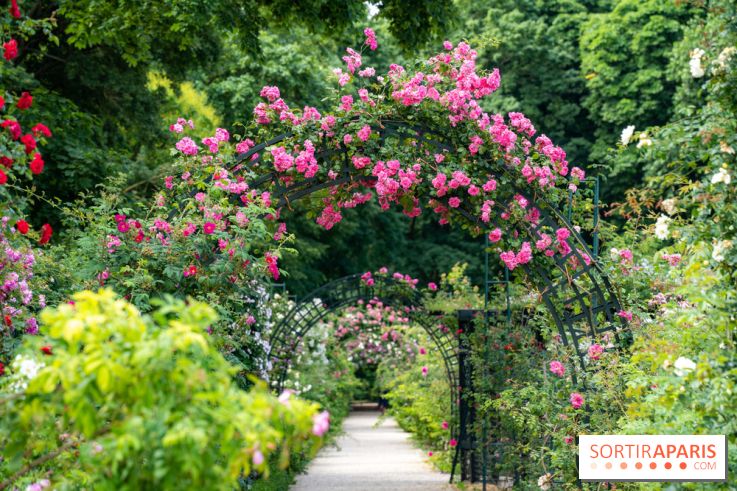 Photos : La Roseraie du val-de-Marne
