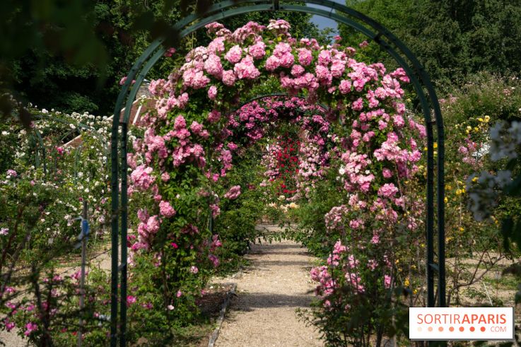 Photos : La Roseraie du val-de-Marne