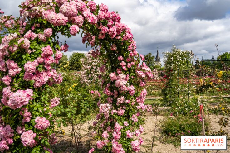 Photos : La Roseraie du val-de-Marne