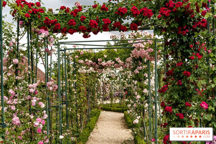 Photos : La Roseraie du val-de-Marne