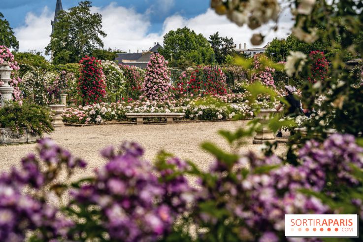 Photos : La Roseraie du val-de-Marne