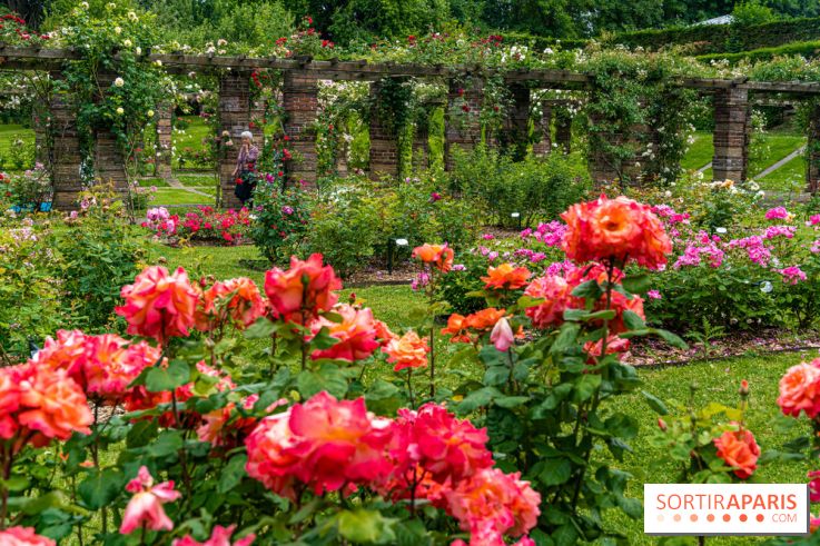 La Roseraie du Parc Lebaudy sur l'Ile de Puteaux