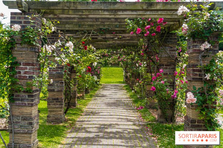 La Roseraie du Parc Lebaudy sur l'Ile de Puteaux