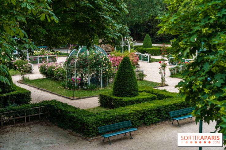La roseraie du Square René-le-Gall
