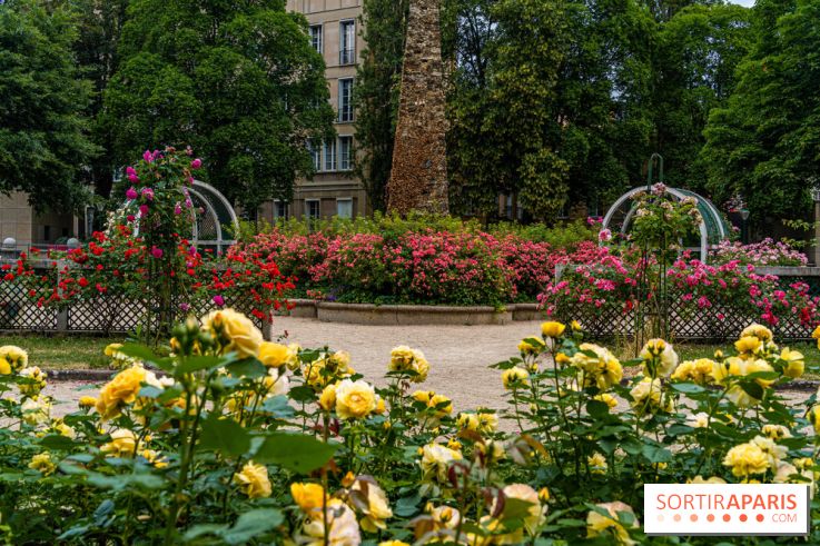 La roseraie du Square René-le-Gall