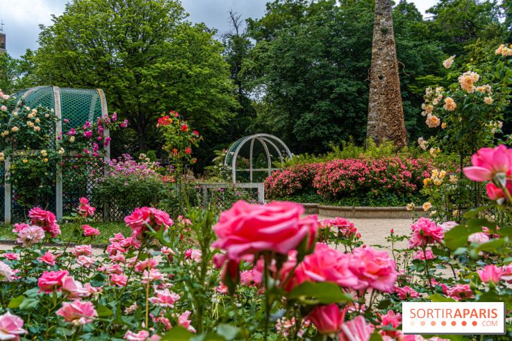La roseraie du Square René-le-Gall