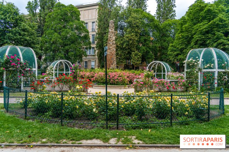 La roseraie du Square René-le-Gall