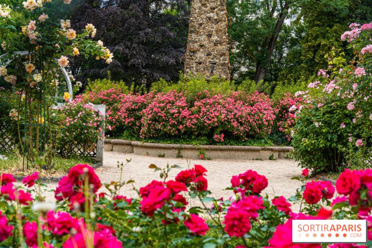 La roseraie du Square René-le-Gall