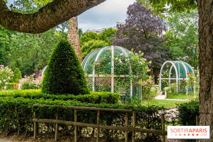 La roseraie du Square René-le-Gall