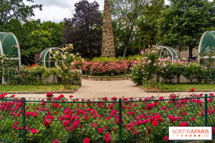 La roseraie du Square René-le-Gall