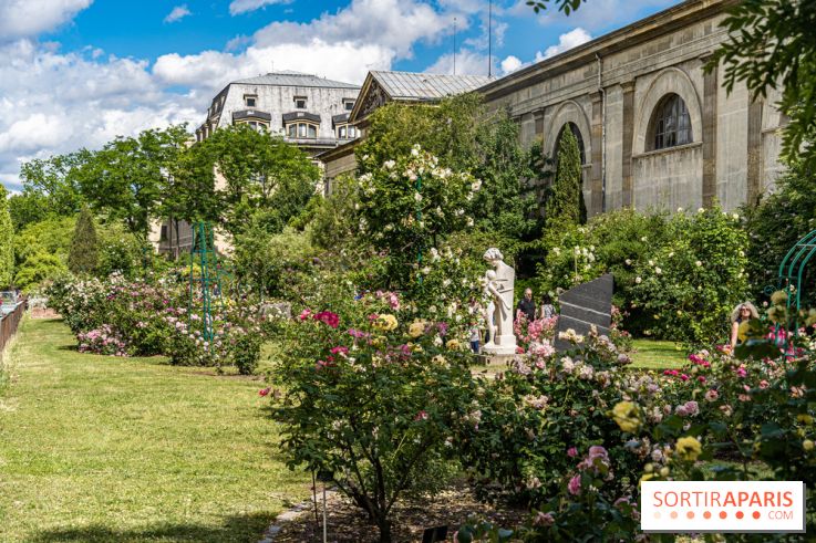 Photos La roseraie du Jardin des Plantes 