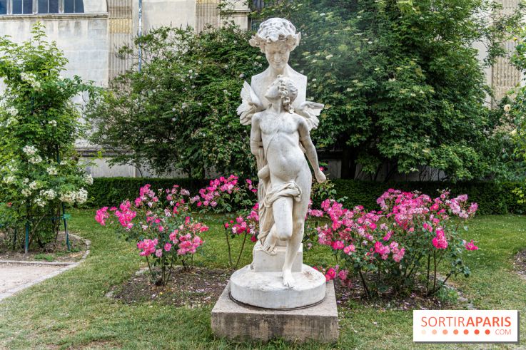 Photos La roseraie du Jardin des Plantes 