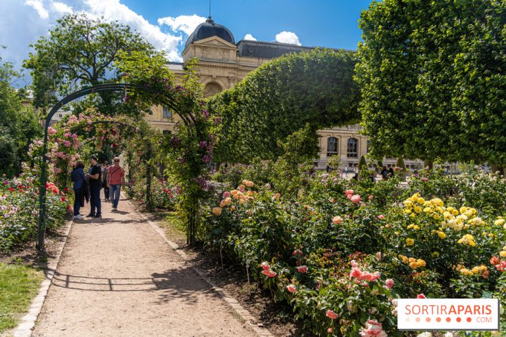 Photos La roseraie du Jardin des Plantes 