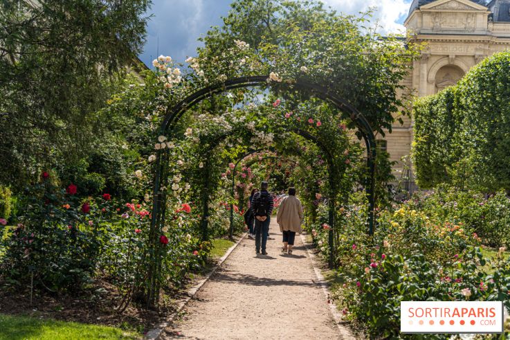 Photos La roseraie du Jardin des Plantes 