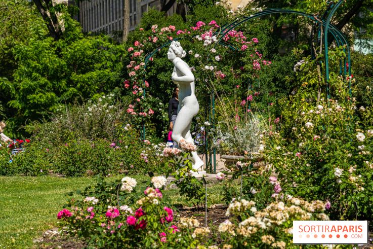 Photos La roseraie du Jardin des Plantes 