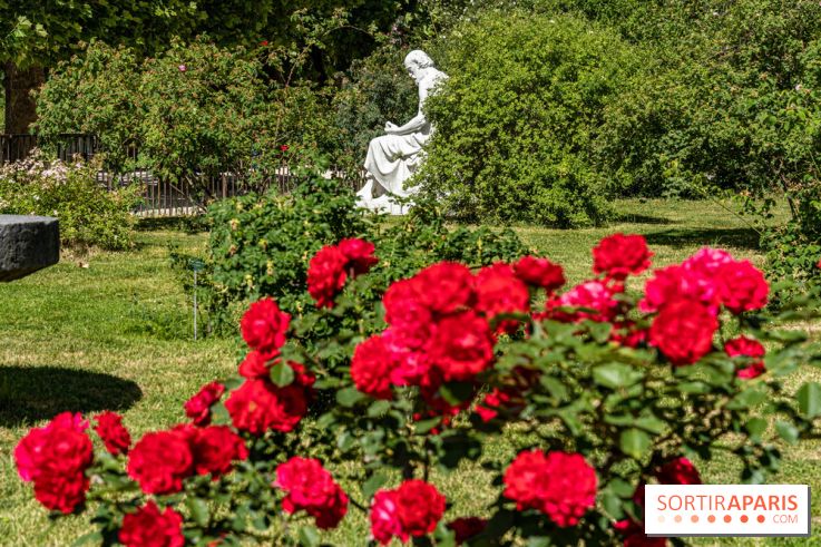 Photos La roseraie du Jardin des Plantes 